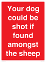 your-dog-could-be-shot-if-found-amongst-the-sheep~